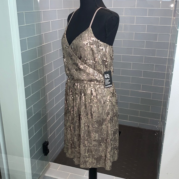 Express Large Pewter Dress - Picture 2 of 6